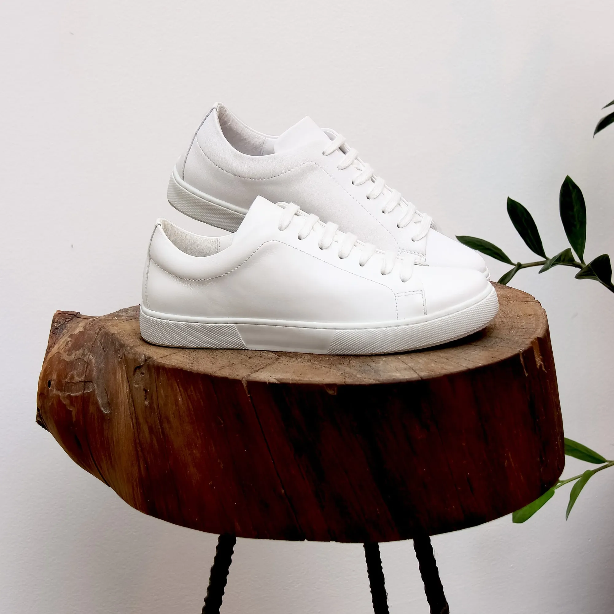 Hot Tennis lacet cuir Femme Baskets